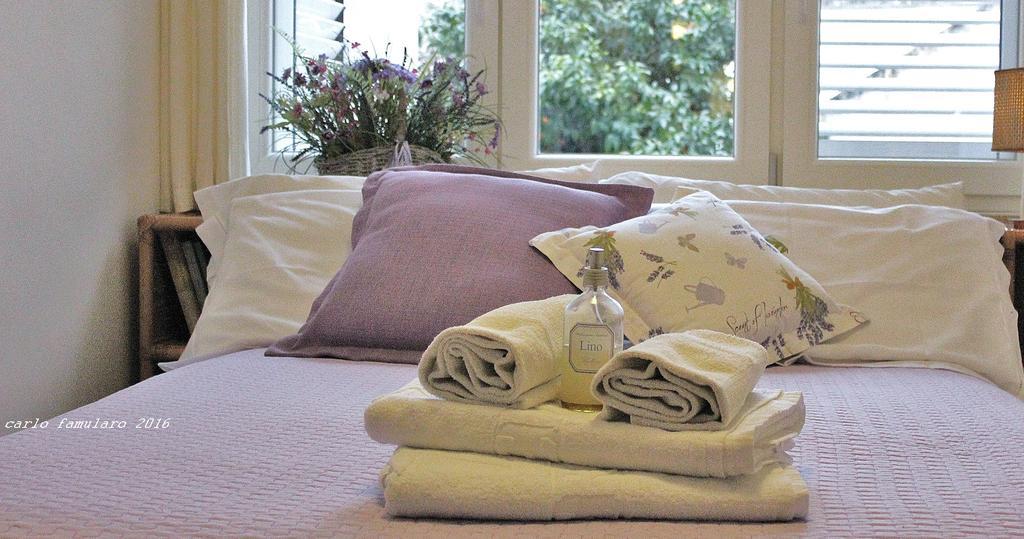 Villa Apollo B&B カプリ エクステリア 写真