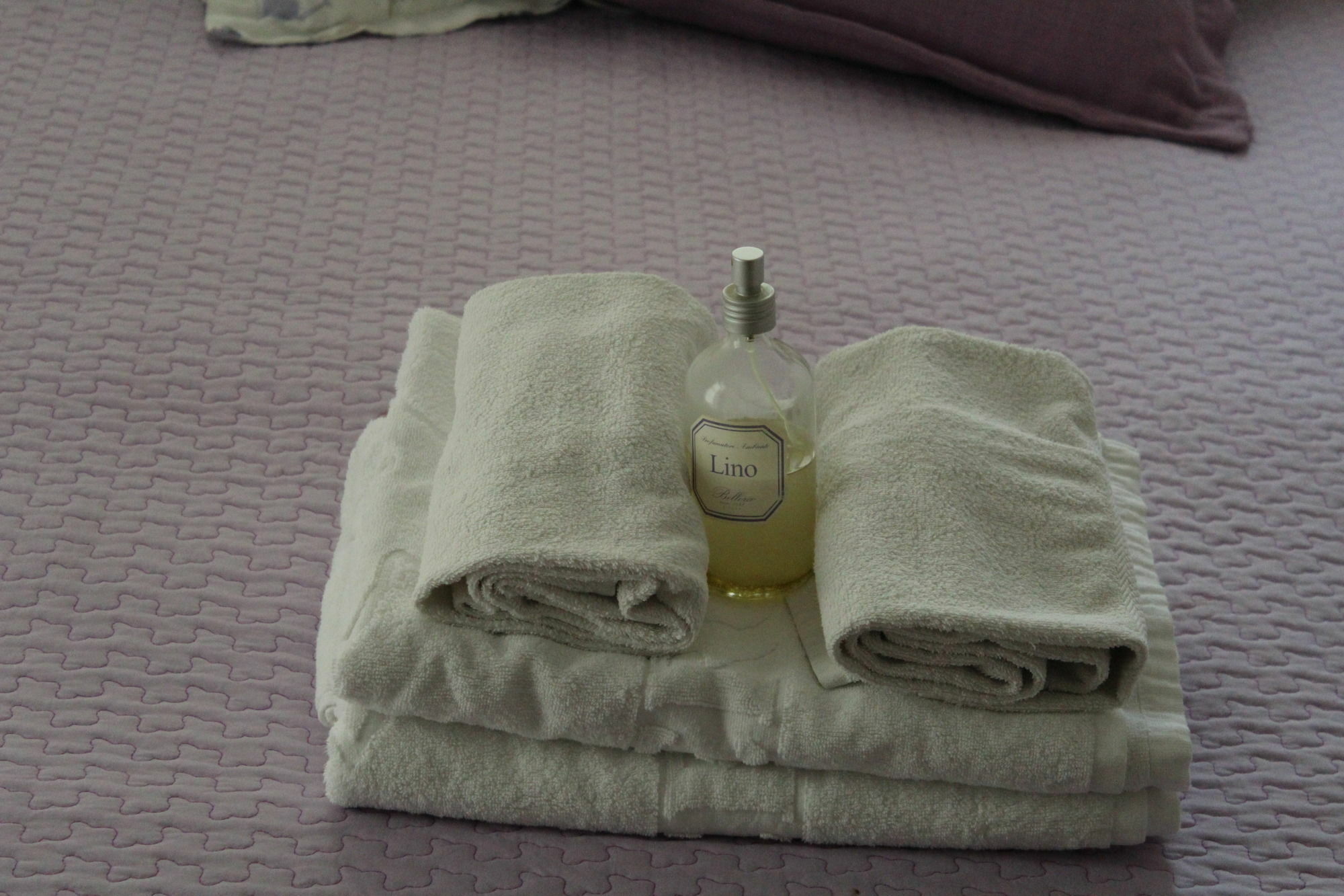 Villa Apollo B&B カプリ エクステリア 写真